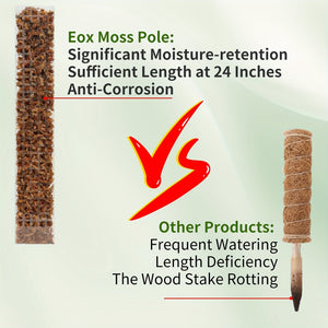 Planet Gates 60.96 Cm 6 Pack 6 Packs, Plastic Moss Poles For Plants 6X 24 Moss Poles For Climbing Plants Indoor Plant Support With D-Shape Design Enhance Growth And Greenery