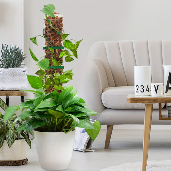 Planet Gates 60.96 Cm 6 Pack 6 Packs, Plastic Moss Poles For Plants 6X 24 Moss Poles For Climbing Plants Indoor Plant Support With D-Shape Design Enhance Growth And Greenery