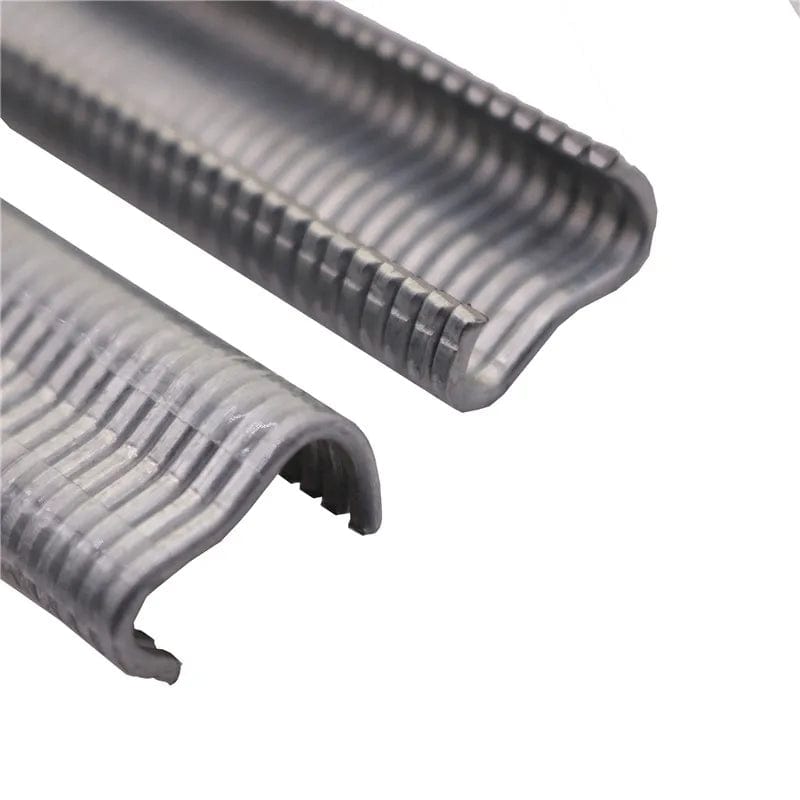 Planet Gates 600 Pcs / 600 Pcs 600 Pcs Pcs M Nail Cages Installed Chicken Duck Bird Dog Cage Clamp 2.0 Quail Tied Dove Cage Clamp Rabbit Staples