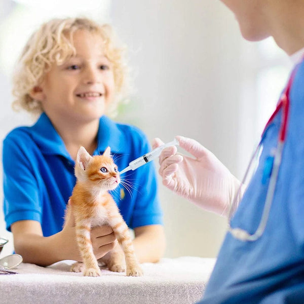 Planet Gates 60ml Liquid Syringe Glue Filling Enema Syringe Nutrient Sterile Health Without Needle Watering Refilling for Animal Food Feeding