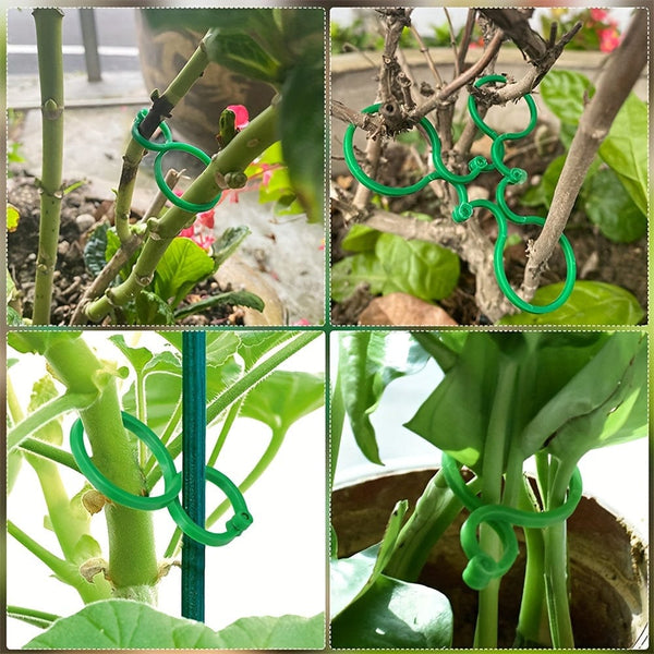 Planet Gates 60pcs 60pcs Garden Plant Fasteners Enhance The Beauty Of Your Garden With Vine And Flower Grow Clips, Garden Plant Supplies