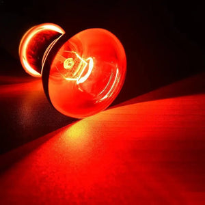 Planet Gates 60w 220V LED Red Reptile Night Light UVA Infrared Heat Lamp Bulb for Snake Lizard Reptile 60W 75W 100W