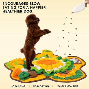 Planet Gates 60x60cm / Flower shape Sniff Mat for Dogs Multi-Functional Dog Feeding Mat Boredom Busters for Dogs with Pupsicles Dog Games and Treat Dispenser