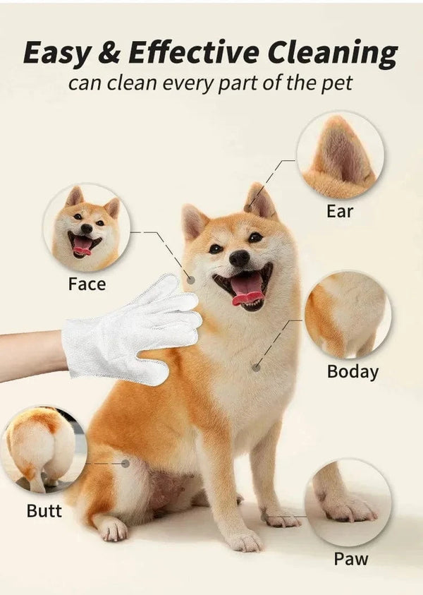 Planet Gates 6pcs/bag Pet wash free gloves cats dogs bathing cleaning dry cleaning wipes gloves deodorizing wipes pet products