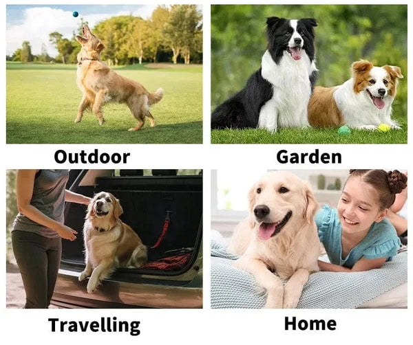 Planet Gates 6pcs/bag Pet wash free gloves cats dogs bathing cleaning dry cleaning wipes gloves deodorizing wipes pet products