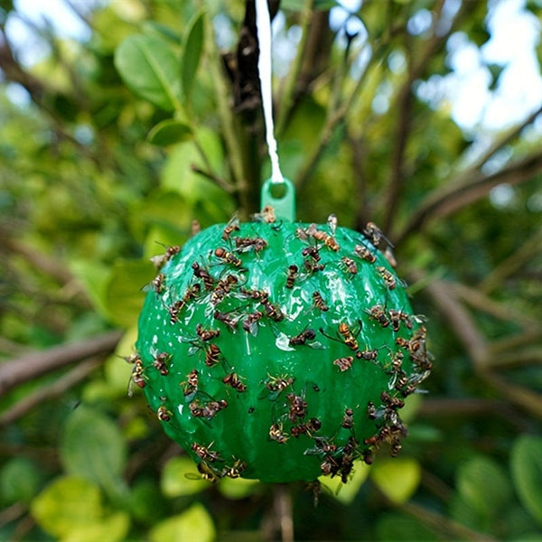 Planet Gates 6pcs Fly Trap: Keep Your Home, Garden & Farm Pest-Free!