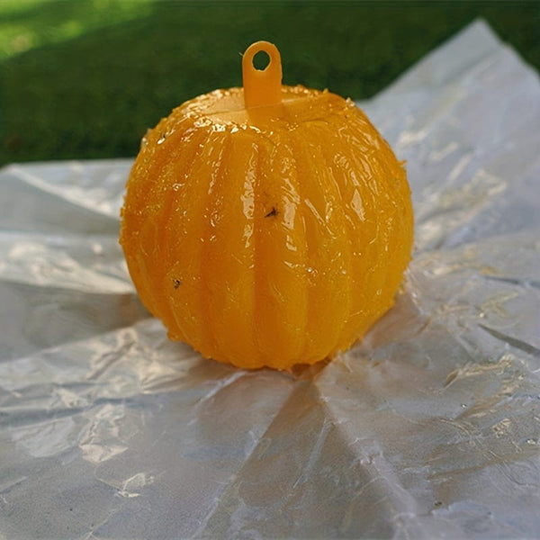 Planet Gates 6pcs Fly Trap: Keep Your Home, Garden & Farm Pest-Free!