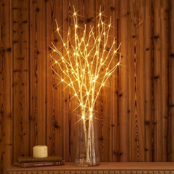 Planet Gates 80cm/2.62ft 1pc 79.86cm 50LED Luminous White Birch Branch Decorative Light, Simulated Artificial Branch Powered By Battery, For Indoor And Outdoor Christmas, Wedding, Party, Home Decoration
