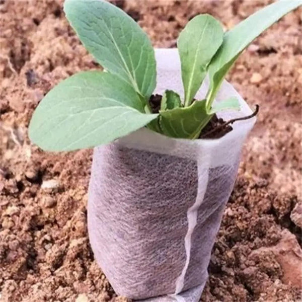 Planet Gates 80x100mm Non-woven Fabrics Seeding Bags Biodegradable Cultivation Growing Bags Seedling Germination cultivate Pots 100pcs