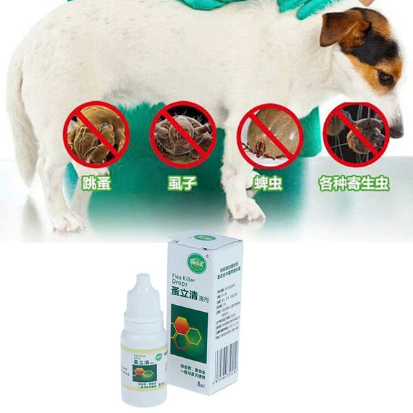 Planet Gates 8ml Pets Dog Cat Anti-flea Drops Insecticide Flea Lice Insect Killer Liquid Insect Killer Spray For Pet Dog Puppy Cat