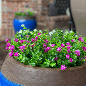 Planet Gates 8Pack 8Pack Fake Flowers No Fade UV Resistant Lifelike Artificial Plastic Flowers Faux Plants for Hanging Planters Outside Porch Window Box Wedding Indoor Outdoor Home Décor