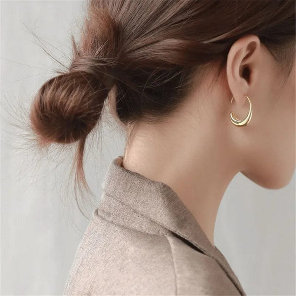 Planet Gates 925 Silver Needle Geometric Oval Hoop Earrings For Women Party Wedding Punk Jewelry Gift e551