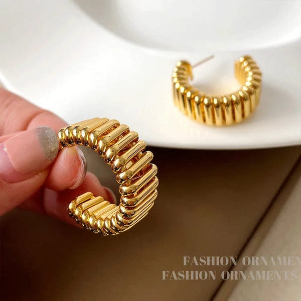 Planet Gates 925 Silver Needle Modern Jewelry Metal Hoop Earrings 2022 New Trend Hot Selling Gold Color Fashion Drop Earrings For Women