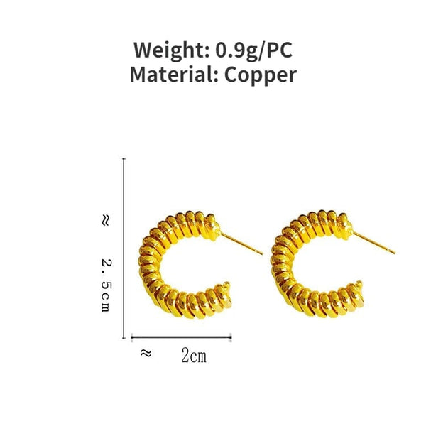 Planet Gates 925 Silver Needle Modern Jewelry Metal Hoop Earrings 2022 New Trend Hot Selling Gold Color Fashion Drop Earrings For Women