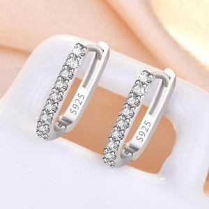 Planet Gates 925 Sterling Silver Crystal Jewelry Fashion Zircon Circle Hoop Earrings For Woman New XY0179