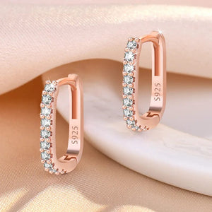 Planet Gates 925 Sterling Silver Crystal Jewelry Fashion Zircon Circle Hoop Earrings For Woman New XY0179