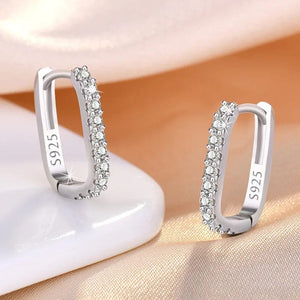 Planet Gates 925 Sterling Silver Crystal Jewelry Fashion Zircon Circle Hoop Earrings For Woman New XY0179