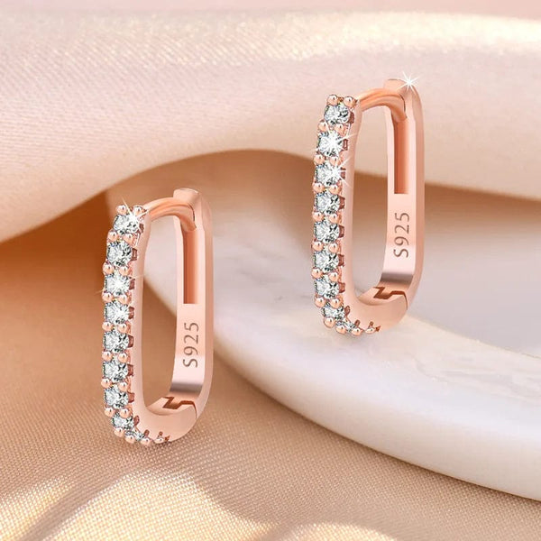 Planet Gates 925 Sterling Silver Crystal Jewelry Fashion Zircon Circle Hoop Earrings For Woman New XY0179