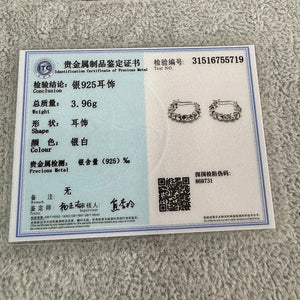 Planet Gates 925 Sterling Silver Hot Sale  hoop Earrings Simple Temperament Exquisite Hot Semale Sexy Jewelry Gift