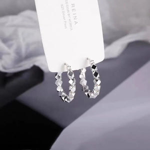 Planet Gates 925 Sterling Silver Hot Sale  hoop Earrings Simple Temperament Exquisite Hot Semale Sexy Jewelry Gift