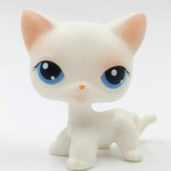 Planet Gates 959 Rare pet shop toy Mini Stands Short Hair Kitten Old Figures Collection Original Bobble head toy lps