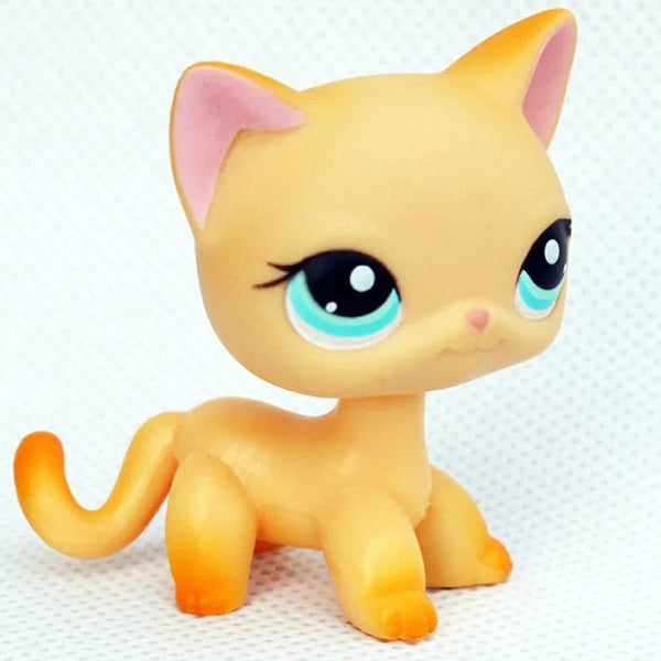 Planet Gates 959 Rare pet shop toy Mini Stands Short Hair Kitten Old Figures Collection Original Bobble head toy lps
