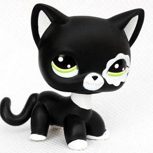 Planet Gates 959 Rare pet shop toy Mini Stands Short Hair Kitten Old Figures Collection Original Bobble head toy lps