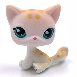 Planet Gates 959 Rare pet shop toy Mini Stands Short Hair Kitten Old Figures Collection Original Bobble head toy lps