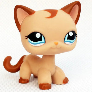 Planet Gates 959 Rare pet shop toy Mini Stands Short Hair Kitten Old Figures Collection Original Bobble head toy lps