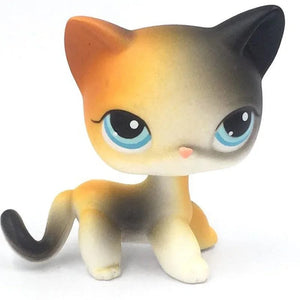 Planet Gates 959 Rare pet shop toy Mini Stands Short Hair Kitten Old Figures Collection Original Bobble head toy lps