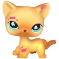 Planet Gates 959 Rare pet shop toy Mini Stands Short Hair Kitten Old Figures Collection Original Bobble head toy lps