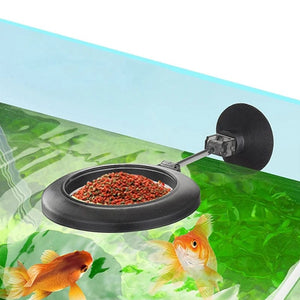 Planet Gates a 1 Set Multi-functional Aquarium Feeding Tube Floating Feeding Ring Shrimp Feeder Tube And Dish Fish Tank For Tropical Fish