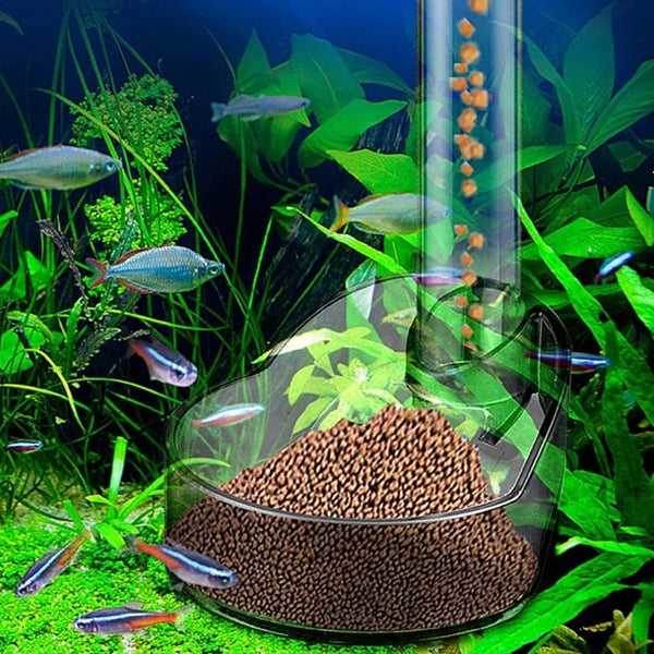 Planet Gates a 1 Set Multi-functional Aquarium Feeding Tube Floating Feeding Ring Shrimp Feeder Tube And Dish Fish Tank For Tropical Fish