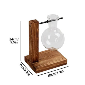 Planet Gates A Transparent Bulb Vase with Wooden Stand Desktop Glass Planter for Hydroponics Plants Coffee Shop Room Decor