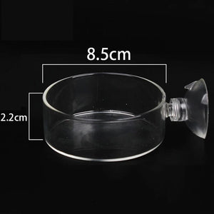 Planet Gates Acrylic Aquarium Feeder Tube Dish Transparent Fish Tank Shrimp Snail Shrimp Food Feeding Bowl Aquarium Feeding Accessories