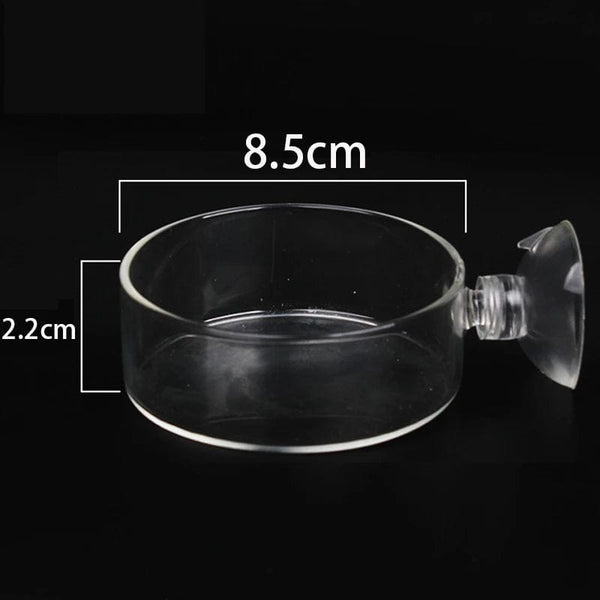 Planet Gates Acrylic Aquarium Feeder Tube Dish Transparent Fish Tank Shrimp Snail Shrimp Food Feeding Bowl Aquarium Feeding Accessories
