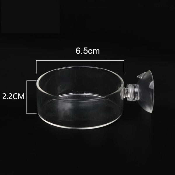 Planet Gates Acrylic Aquarium Feeder Tube Dish Transparent Fish Tank Shrimp Snail Shrimp Food Feeding Bowl Aquarium Feeding Accessories