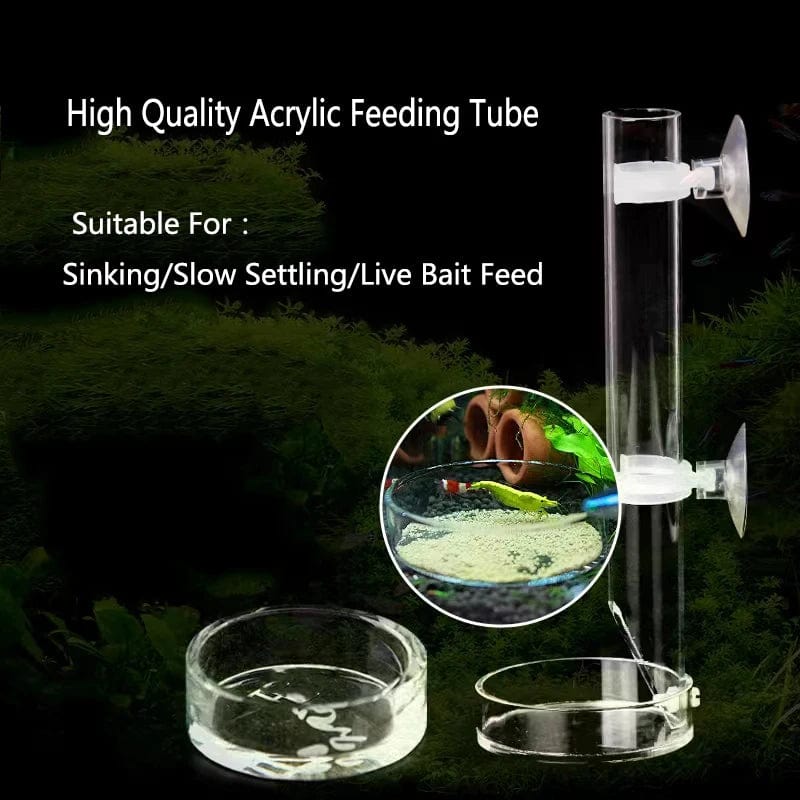 Planet Gates Acrylic Aquarium Feeder Tube Dish Transparent Fish Tank Shrimp Snail Shrimp Food Feeding Bowl Aquarium Feeding Accessories
