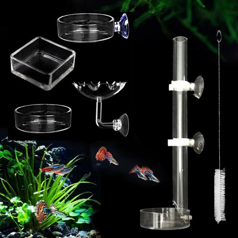 Planet Gates Acrylic Aquarium Feeder Tube Dish Transparent Fish Tank Shrimp Snail Shrimp Food Feeding Bowl Aquarium Feeding Accessories