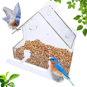 Planet Gates Acrylic Clear Glass Window Birds Hanging Feeder Birdhouse Food Feeding House Table Seed Peanut Suction Cup