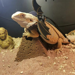 Planet Gates Adjustable Bearded Dragon Leash Harness set Wings Costume Clothes From Baby To Juvenile Lizard Iguana Gecko Chameleon Walking