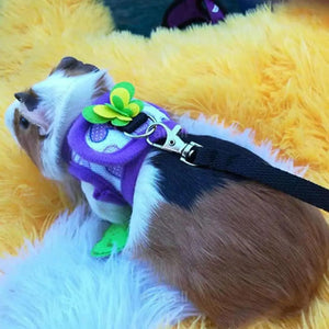 Planet Gates Adjustable Guinea Pig Harness Leash Set Outdoor Traction Rope for Hamster Chinchilla Mice Rat Ferret Rabbit Animal Accessories