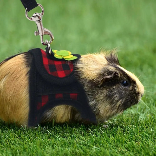 Planet Gates Adjustable Guinea Pig Harness Leash Set Outdoor Traction Rope for Hamster Chinchilla Mice Rat Ferret Rabbit Animal Accessories