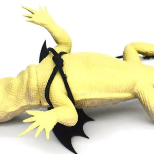 Planet Gates Adjustable  Leash Harnesses with  Bat Wings  Leash for Bearded Dragon Amphibian  Iguanas Small Pet B03E