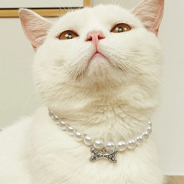 Planet Gates Adjustable Pet Pearl Necklace Accessories for Cats Gotas Animals Fashion Rhinestones Sphynx Cat Collar Kitten Dog collier chat