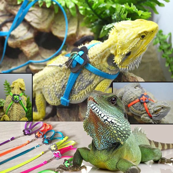 Planet Gates Adjustable Reptile Lizard Harness Leash Training Walking Rope Pet Leash Anti-Bite Harness Leash Pet Collar Chest Strap Lizard