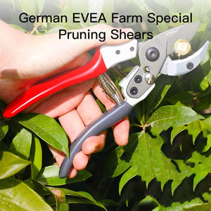 Planet Gates AIRAJ Scissors Pruning Trees Professional Garden Scissors Bonsai Bypass Pruning Shears Loppers Trim Fruit Tree Flower Shears