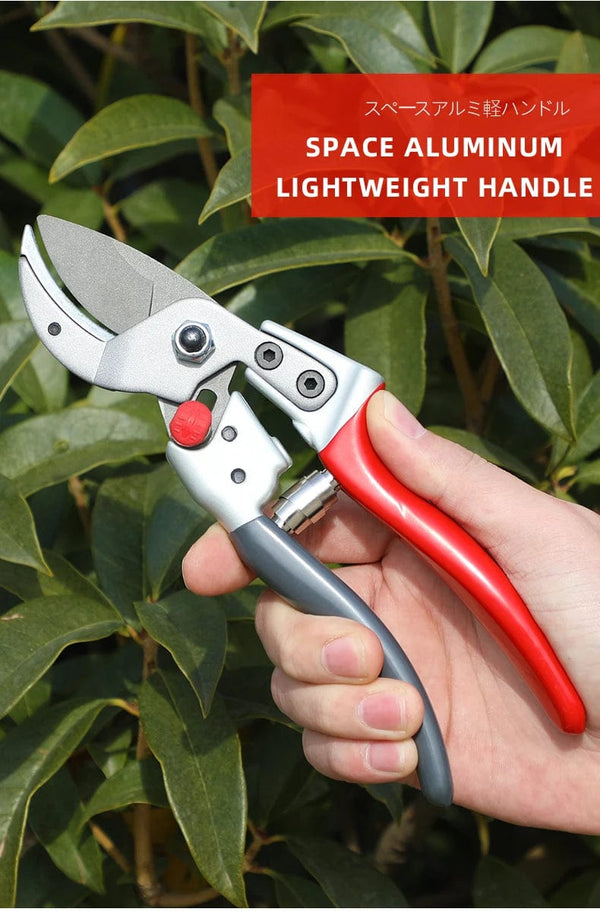 Planet Gates AIRAJ Scissors Pruning Trees Professional Garden Scissors Bonsai Bypass Pruning Shears Loppers Trim Fruit Tree Flower Shears