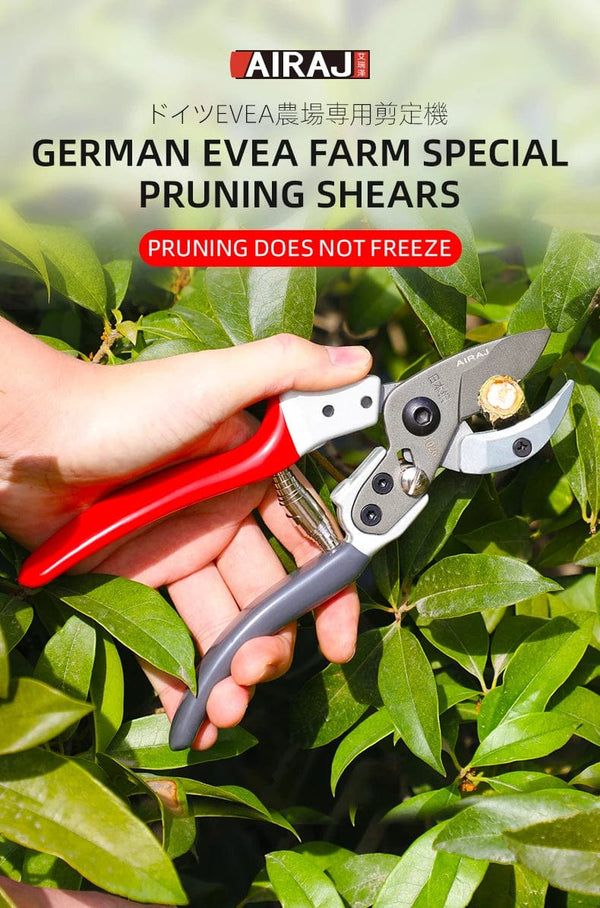 Planet Gates AIRAJ Scissors Pruning Trees Professional Garden Scissors Bonsai Bypass Pruning Shears Loppers Trim Fruit Tree Flower Shears