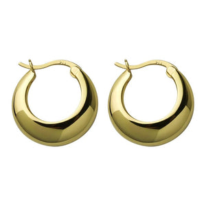 Planet Gates ANENJERY Geometric Chunky Hoop Earrings for Women Punk Ear Jewelry Wholesale